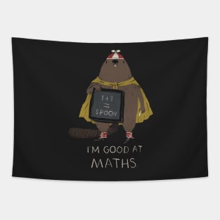 Maths Tapestry