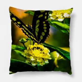 Butterfly on Flower Pillow