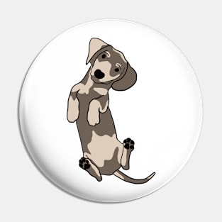 Happy dachshund illustration Pin