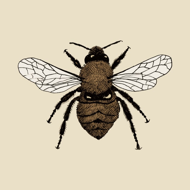 Bumblebee by djrbennett