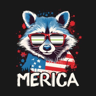 4Th Of July Merica Raccoon Agender Sun Flag T-Shirt