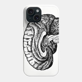 Vintage illustration of a human brain Phone Case