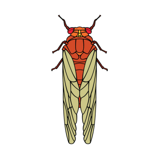 Cicada Graphic T-Shirt