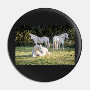 White Ponies Pin