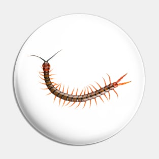 Giant Centipede Creepy Crawly Pin