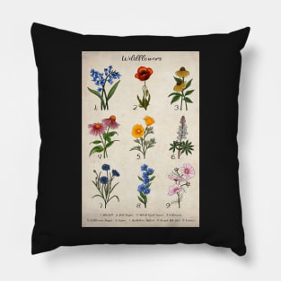 Vintage Floral Wildflower Illustrations Pillow