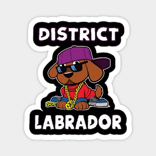 District Labrador cool Hip Hop Dogs Design Magnet