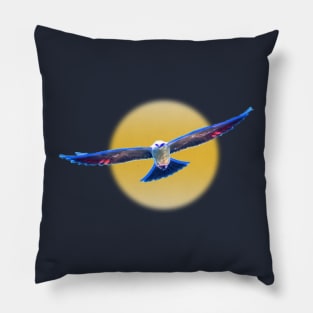 Hawk Starburst Pillow