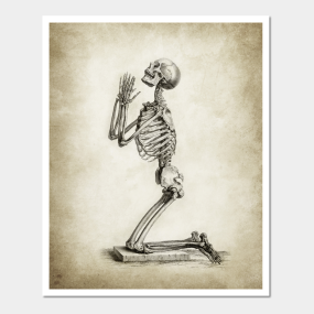 Human Anatomy Posters And Art Prints Teepublic