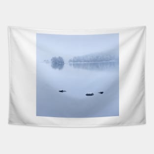 Foggy calm lake scape Tapestry