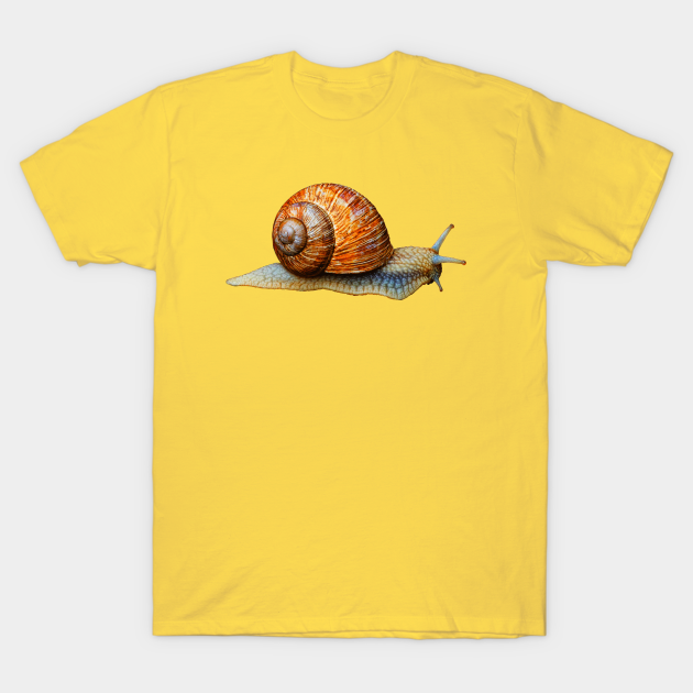 SNAIL - Snail - T-Shirt | TeePublic