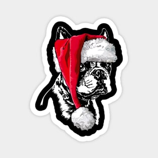 Funny Cute Boston Terrier Santa Christmas dog Magnet