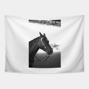 Beautiful horse Tapestry