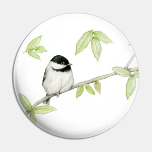 A pencil drawing of a Carolina chickadee Pin