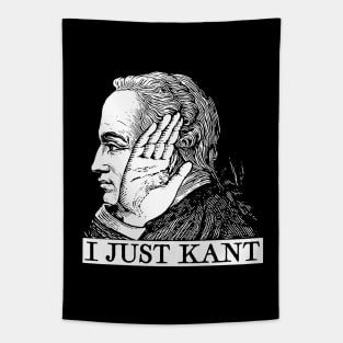 I Just Kant Tapestry