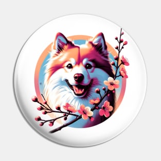 Joyful Finnish Spitz with Spring Cherry Blossoms Pin