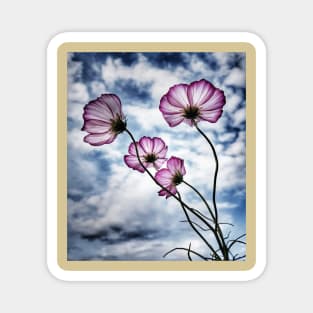 pink flowers Magnet