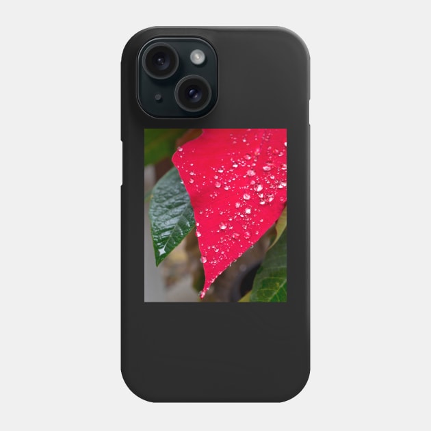 Poinsettia with raindrops Phone Case by mariola5