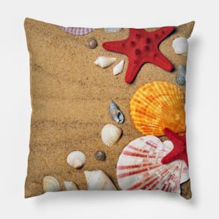 Colorful Seashells Shore Photography Pillow