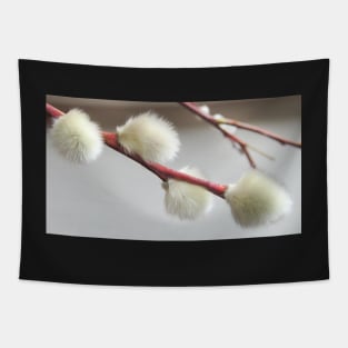 Catkins Tapestry