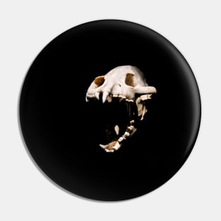 Dinosaur skull / Swiss Artwork Photography Pin