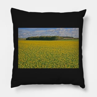 Fields of Gold Pillow