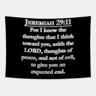 Jeremiah 29:11 Bible Verse KJV Text Tapestry