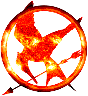 Burning Mockingjay Magnet