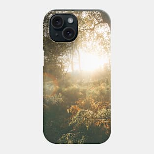 Forest Sunrise Phone Case