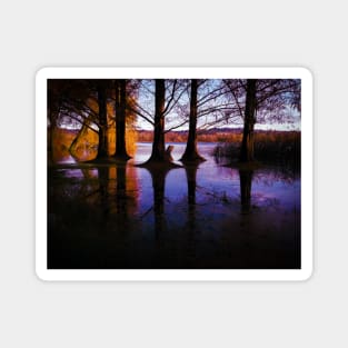 Autumn tree reflection in water landscape photography Magnet