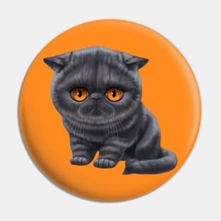 Cat-a-clysm exotic shorthair kitten Pin