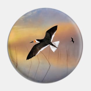 Black Skimmer at Sunset Pin