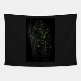 Selective-Colour Ivy Tapestry