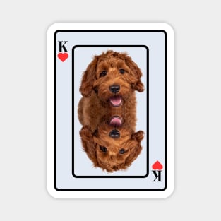 Labradoodle King Of Hearts Magnet