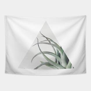 Air Plant II Tapestry