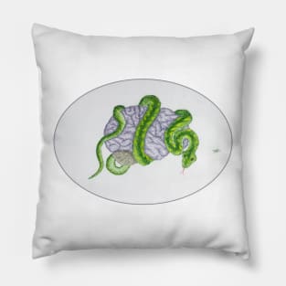 Intracranial Hypertension Pillow