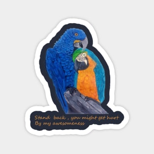 macaw Magnet