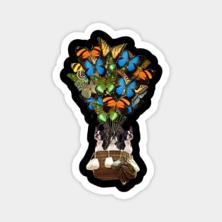 Boston Terriers Dog Butterfly Hot Air Balloon Magnet