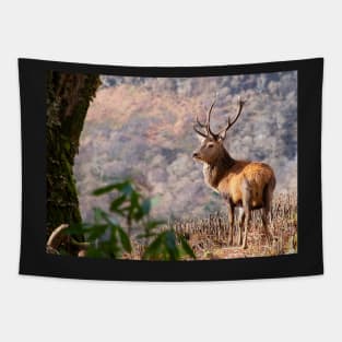 Monarch of the Glen Tapestry