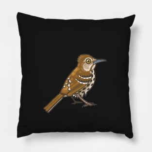 Brown Thrasher Pillow