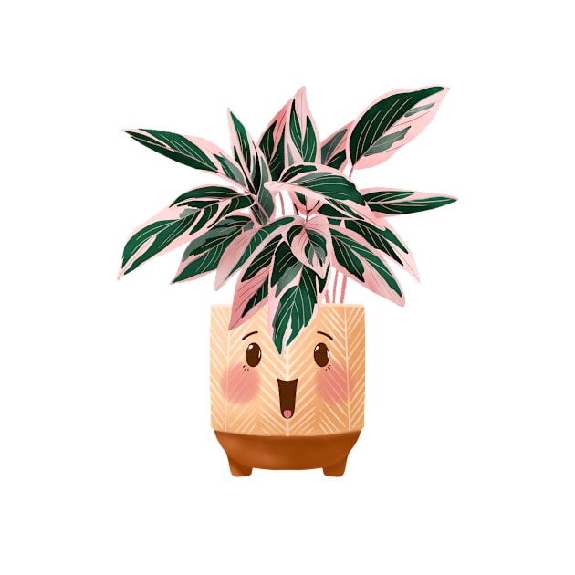 Cute Plant Illustration, Calathea Triostar Illustration by gusstvaraonica