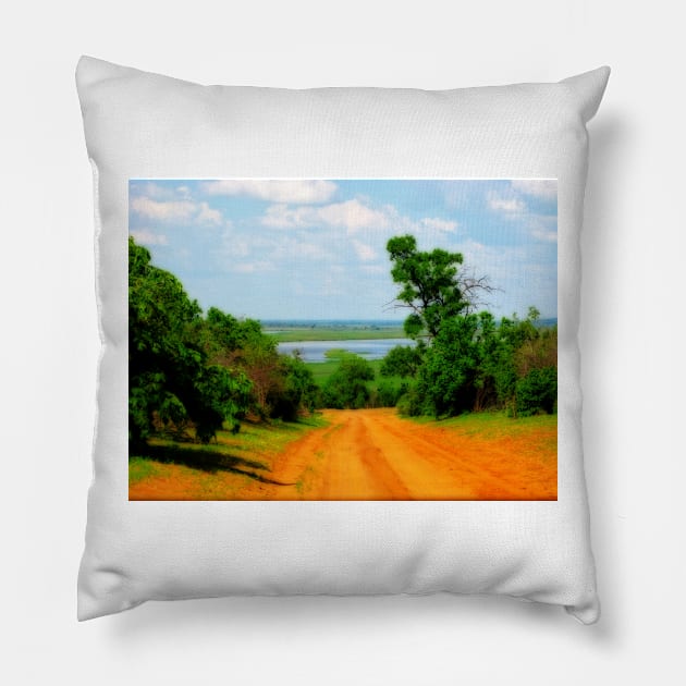 Chobe National Park, Botswana Pillow by vadim19