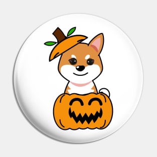 Funny orange dog is in a pumpkin Pin