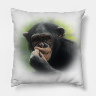 Chimpanzee Pillow