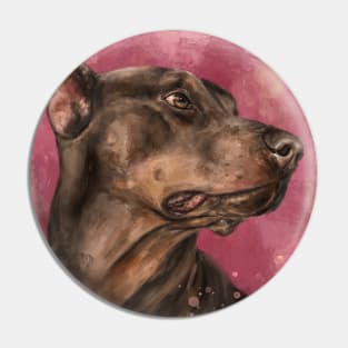 Painting of a Gorgeous a Brown Doberman on Dark Pink Background Pin