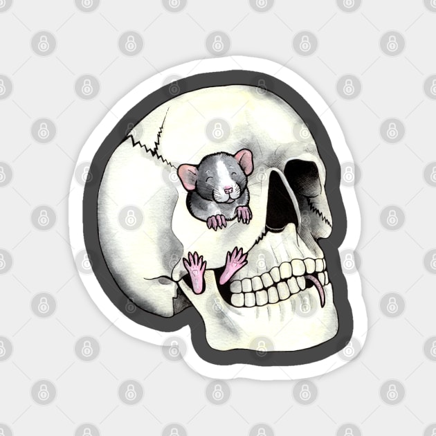 Skull rat Magnet by animalartbyjess