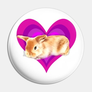 Super cute baby mini lop rabbit in a rainbow heart! Pin