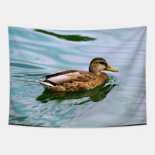 A Duck Swimming In a Pond Tapestry