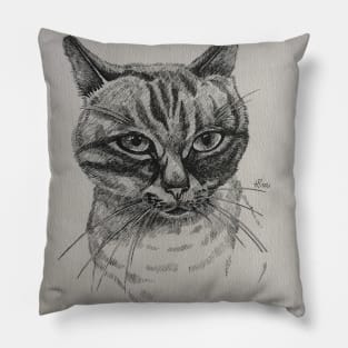 Cute cat Pillow