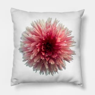 Dahlia / Red and Pink Pillow